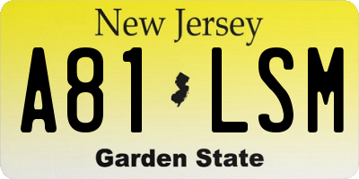 NJ license plate A81LSM