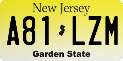 NJ license plate A81LZM