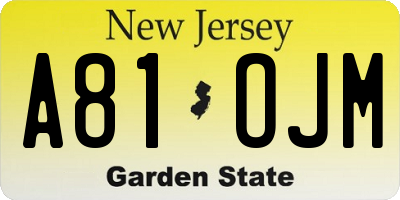 NJ license plate A81OJM