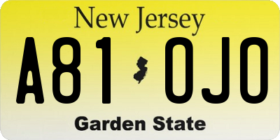 NJ license plate A81OJO