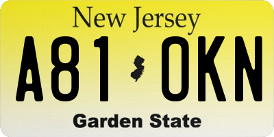 NJ license plate A81OKN