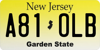 NJ license plate A81OLB