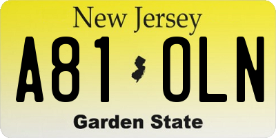 NJ license plate A81OLN