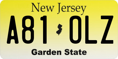 NJ license plate A81OLZ