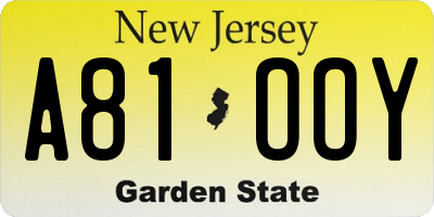 NJ license plate A81OOY