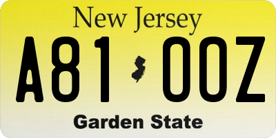 NJ license plate A81OOZ