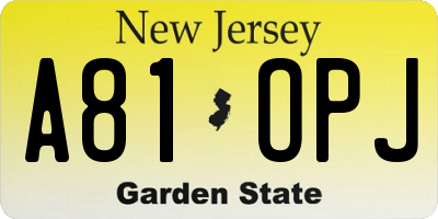NJ license plate A81OPJ