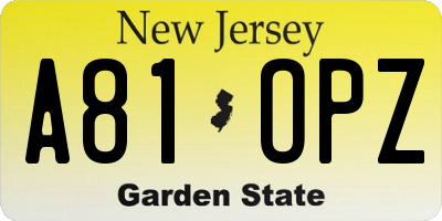 NJ license plate A81OPZ