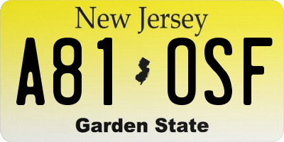 NJ license plate A81OSF