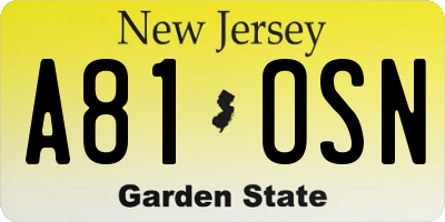 NJ license plate A81OSN