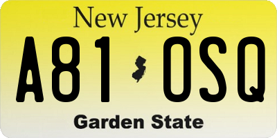 NJ license plate A81OSQ