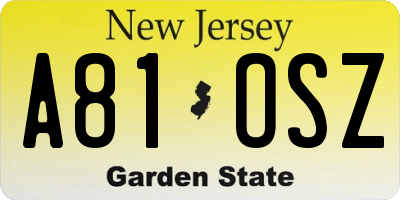 NJ license plate A81OSZ