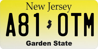 NJ license plate A81OTM