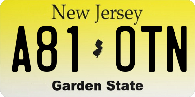 NJ license plate A81OTN