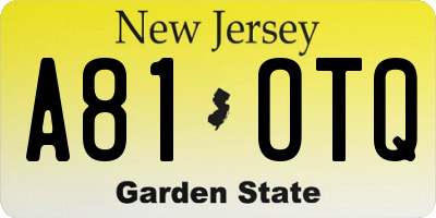 NJ license plate A81OTQ
