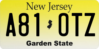 NJ license plate A81OTZ