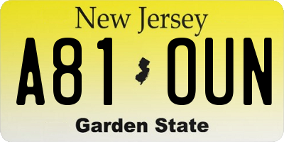 NJ license plate A81OUN