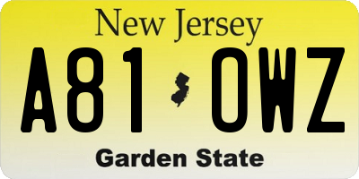 NJ license plate A81OWZ