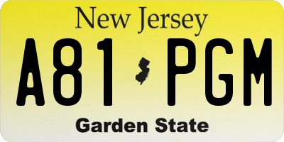 NJ license plate A81PGM