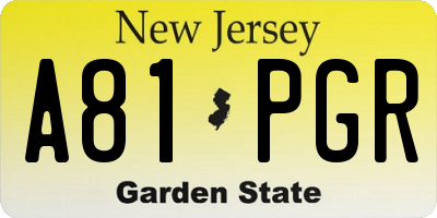 NJ license plate A81PGR