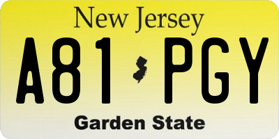 NJ license plate A81PGY