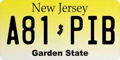 NJ license plate A81PIB