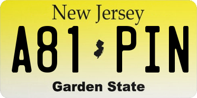 NJ license plate A81PIN