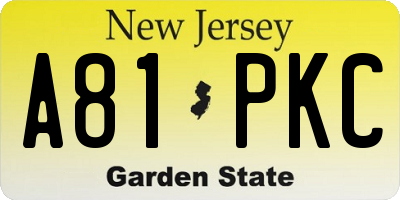 NJ license plate A81PKC