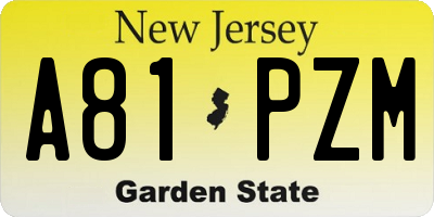 NJ license plate A81PZM