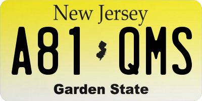 NJ license plate A81QMS