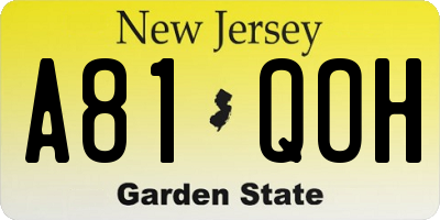 NJ license plate A81QOH