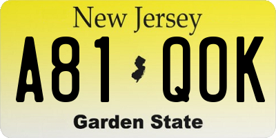 NJ license plate A81QOK