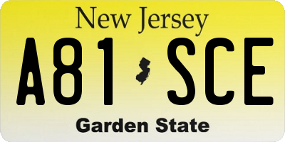 NJ license plate A81SCE