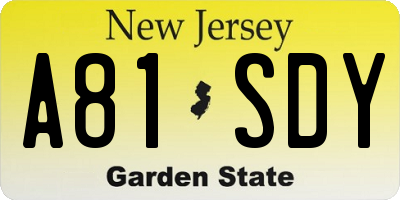 NJ license plate A81SDY