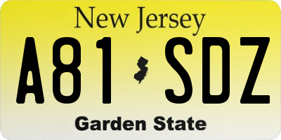 NJ license plate A81SDZ
