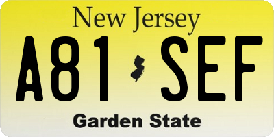 NJ license plate A81SEF
