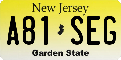 NJ license plate A81SEG