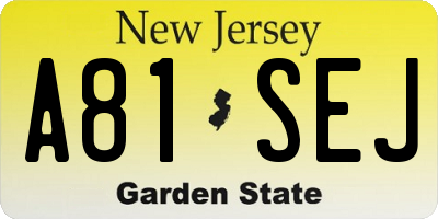 NJ license plate A81SEJ
