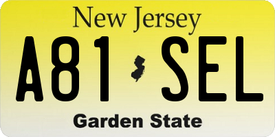 NJ license plate A81SEL