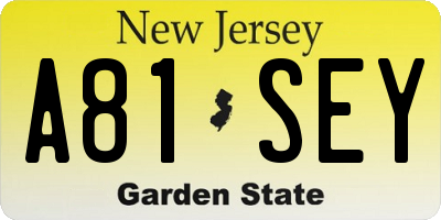 NJ license plate A81SEY
