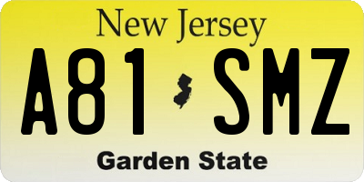 NJ license plate A81SMZ