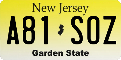 NJ license plate A81SOZ