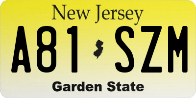 NJ license plate A81SZM