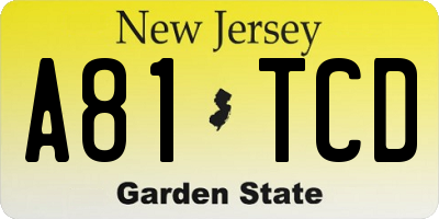 NJ license plate A81TCD