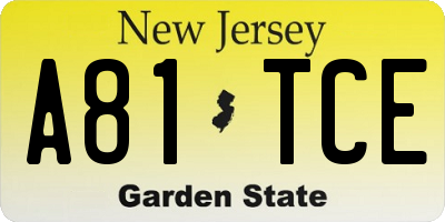NJ license plate A81TCE
