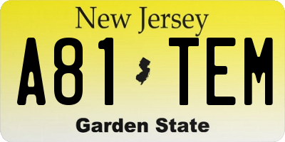 NJ license plate A81TEM