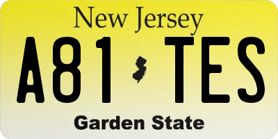 NJ license plate A81TES