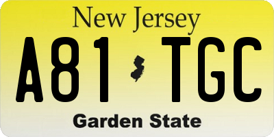 NJ license plate A81TGC