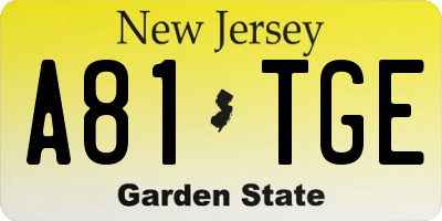 NJ license plate A81TGE