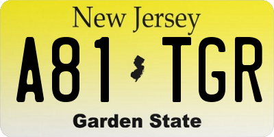 NJ license plate A81TGR